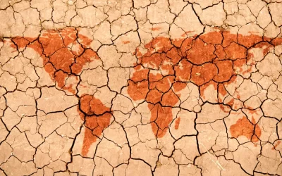 ACIRH Researcher Dr Romaric Odoulami Named Among 2025 Forbes Sustainability Leaders