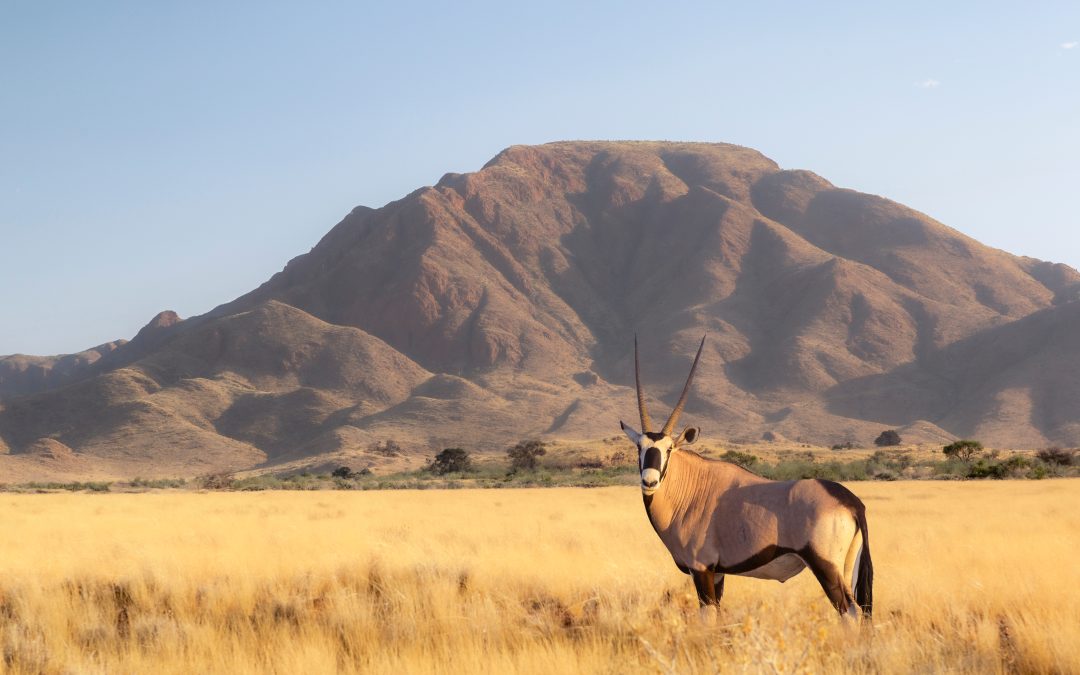 How could SRM affect West Africa?