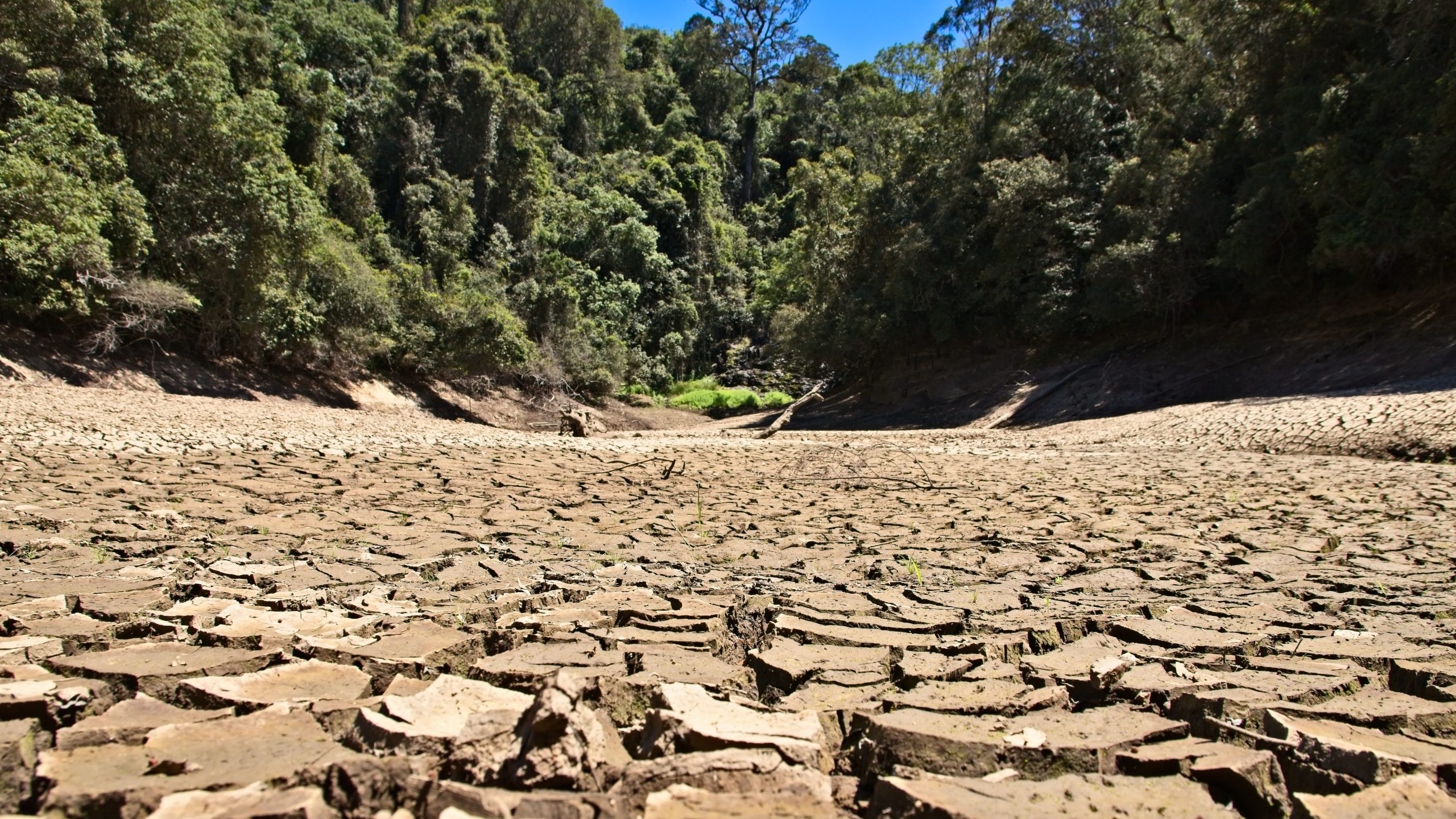 Dry cracked river bed. Drought concept image.